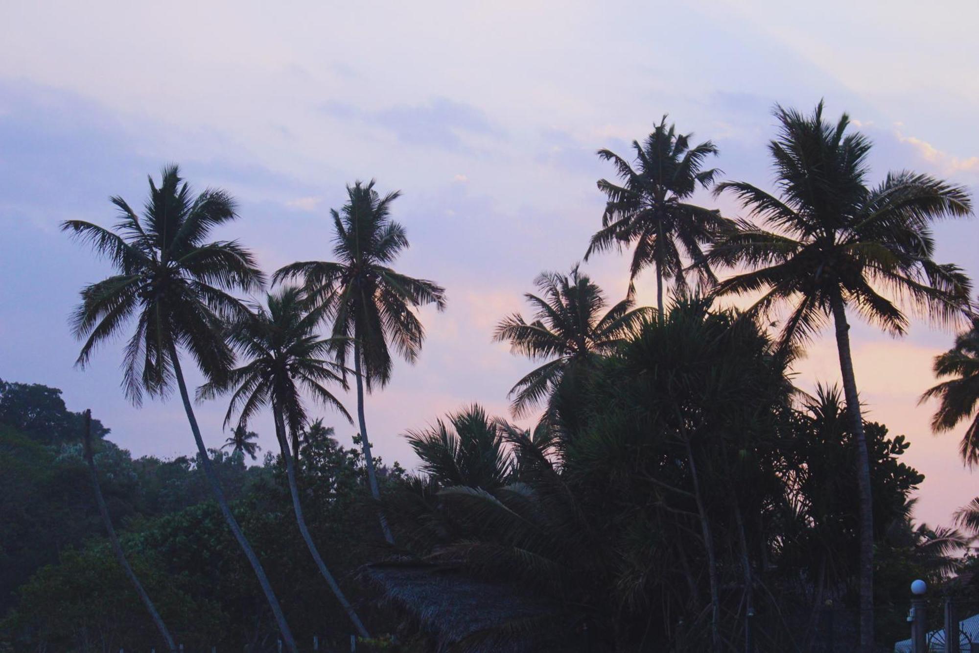 Calma - Surf, Yoga & Coffee On A Private Beach 디크웰라 외부 사진