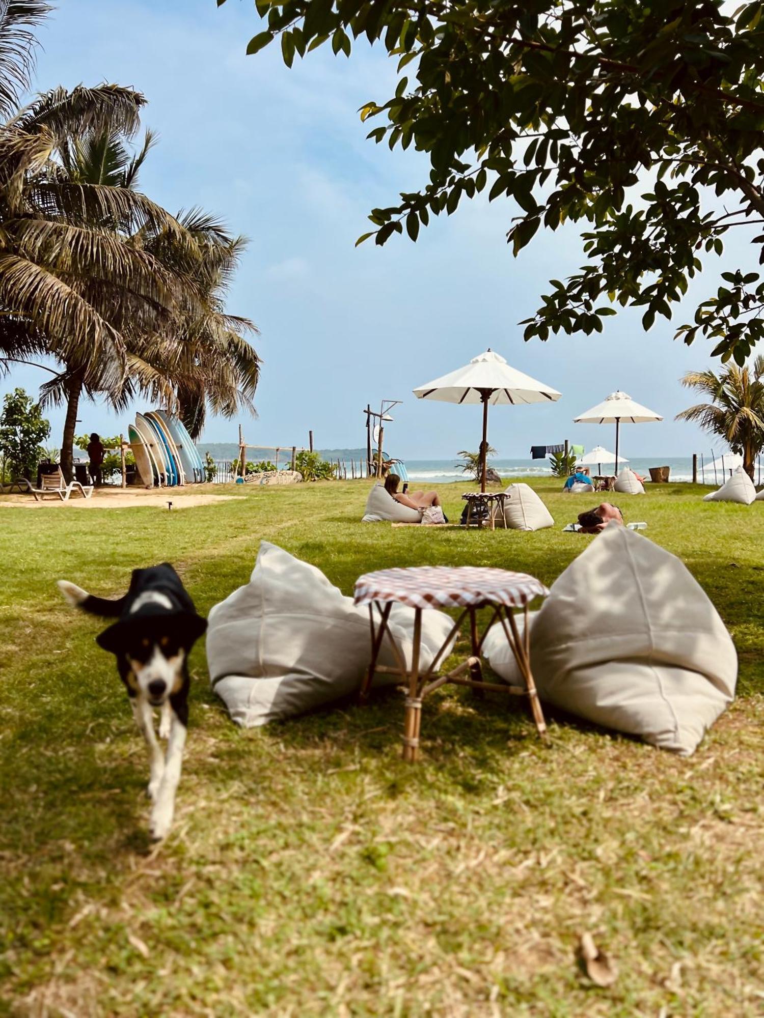 Calma - Surf, Yoga & Coffee On A Private Beach 디크웰라 외부 사진