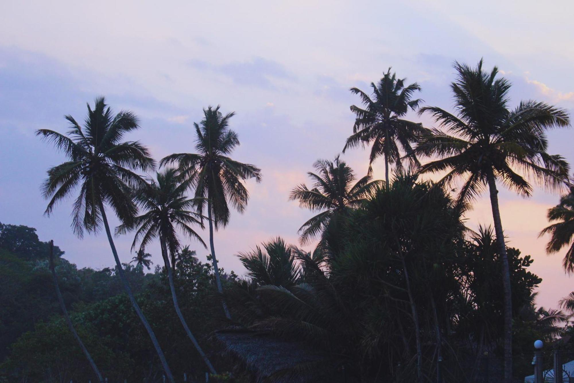Calma - Surf, Yoga & Coffee On A Private Beach 디크웰라 외부 사진